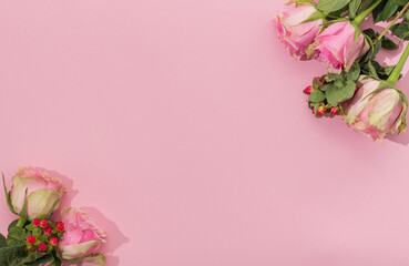 Fresh pink Roses on pastel pink background. Creative love layout with copy space. Minimal concept. Aesthetic flat lay.
