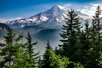 Fototapeta na wymiar Snowcapped Mount Rainier and Pine Trees in the Wilderness