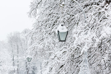 Beautiful winter landscape. Snowy winter in the city park. Lanterns and trees covered with snow