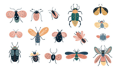 Colorful bug beetle moth fly butterfly, insect doodle set vector baby kids collection
