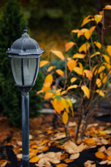 lantern in the park