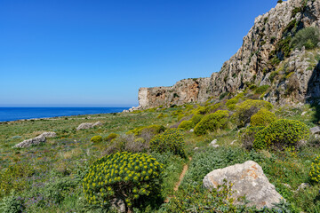 a beautiful view of the mountain peaks covered with dense vegetation and a view of the warm blue sea.