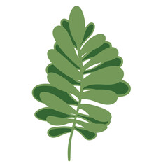 Plant leaf. Vector illustration.