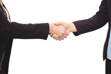 Businessman shaking hands with colleague