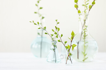 Concept of pure natural organic plant-based ingredients and water in cosmetology, herbal and flower extract. Research, test in laboratory. Anti-age and anti-acne therapy, skin care