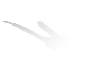 Person shadow on white background