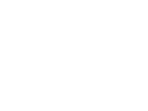 Digital image of camera