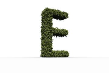 Letter e made of leaves