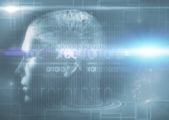 Digitally image of brain interface