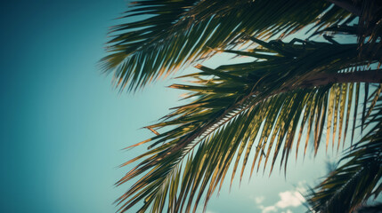Fototapeta na wymiar Palm tree sunny background. Illustration AI Generative.