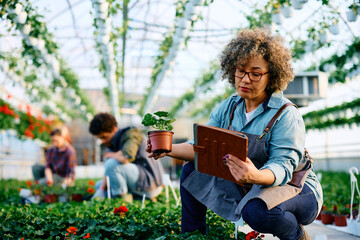 Mid adult woman using touchpad while taking care of potted flowers at plant nursery.