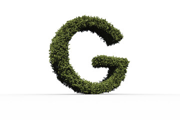 Letter g made of leaves