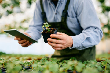 Close up of greenhouse worker using digital tablet while taking care of potted plants.
