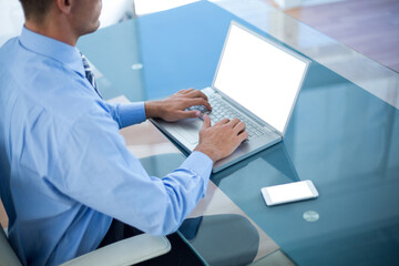 Obraz premium Businessman using his laptop 