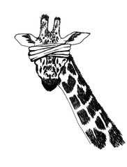 Blind Giraffe with a blindfold on the eyes line hand drawing