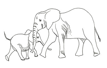 Mom and baby elephants walking on the Savannah line hand drawing