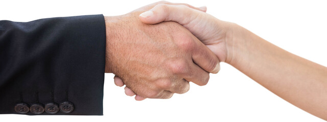 Man shaking hands with partner