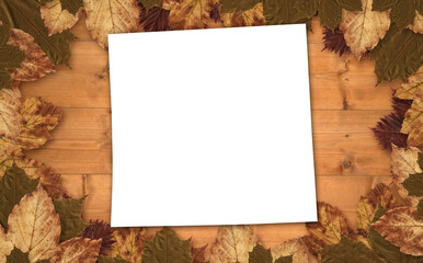 Naklejka na ściany i meble Overhead view of blank paper with autumn leaves