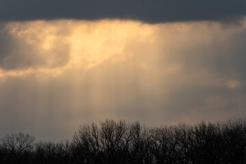 Obraz na płótnie Canvas Sun's rays & clouds; Crane Trust; Nebraska