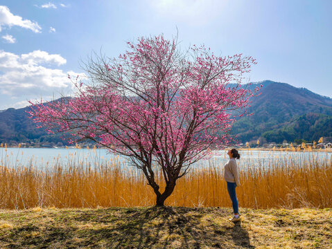 Lac Sei pr&egrave;s du mont Fuju, Japon
