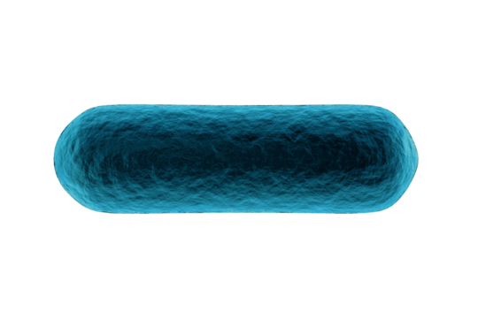 Composite image of blue bacteria