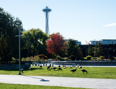 Seattle, USA - October 4, 2018: View of Space Needle from Lake Union park