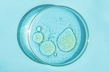 Petri dish. Petri's cup with liquid. Chemical elements, oil, cosmetics. Gel, water, molecules, viruses. Close-up. On a blue background.