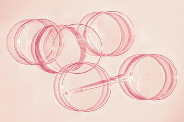 Petri dish. A set of Petri cups. A pipette, glass tube. On a pink background.