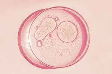 Petri dish. Petri's cup with liquid. Chemical elements, oil, cosmetics. Gel, water, molecules, viruses. Close-up. On a pink background.