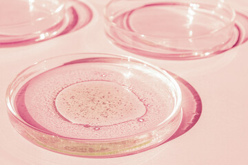 Petri dish. Petri's cup with liquid. Chemical elements, oil, cosmetics. Gel, water, molecules, viruses. Close-up. On a pink background.