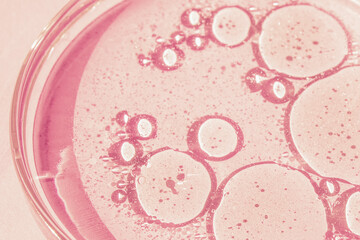 Petri dish. Petri's cup with liquid. Chemical elements, oil, cosmetics. Gel, water, molecules, viruses. Close-up. On a pink background.