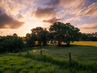 Sunset Over The Park