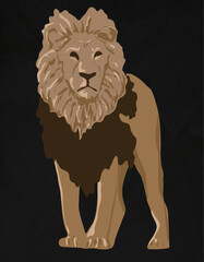 lion on a black background