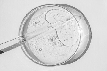 Petri dish. Petri's cup with liquid. Chemical elements, oil, cosmetics. Gel, water, molecules,...