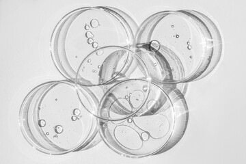 Petri dish. Petri cups with liquid. Kit. Chemical elements, oil, cosmetics. Gel, water, molecules, viruses. Close-up. On a white background.