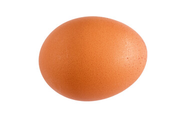 Brown Egg