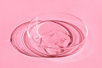 Petri dish. With transparent gel. On a pink background.