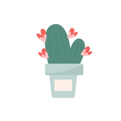 cactus in a pot