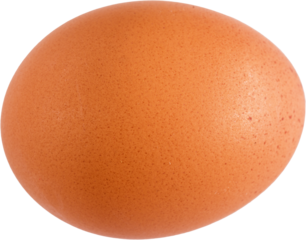 Brown Egg