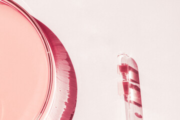Petri dishes. With pink liquid. With solution. Medical pipette. On a white background.