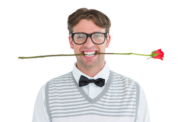 Fototapeta premium Geeky hipster holding a red rose in his teeth