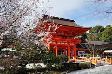 Kamigamo-jinja or Shrine in Kyoto, Japan - 日本 京都府 上賀茂神社 春の桜