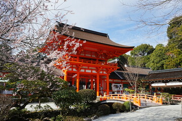 Kamigamo-jinja or Shrine in Kyoto, Japan - 日本 京都府 上賀茂神社 春の桜 - obrazy, fototapety, plakaty
