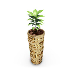 Plant on stack of gold coins