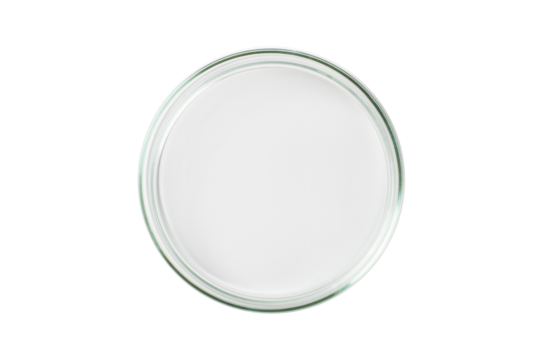 Petri dish empty transparent isolated. PNG.