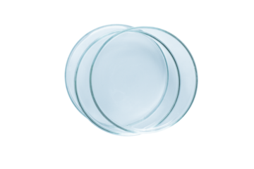Three Petri dishes empty from blue glass isolated. PNG.