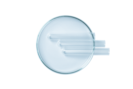 Empty blue Petri dish with empty flasks isolated. View from above. PNG