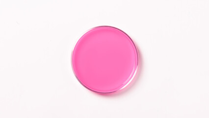 Petri dish with pink liquid. On a white, light background. View from above.