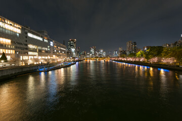 Fototapeta na wymiar 天満橋から中之島を望む夜桜