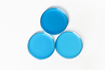 Three Petri dishes with blue, blue liquid. On a white, light background. View from above.